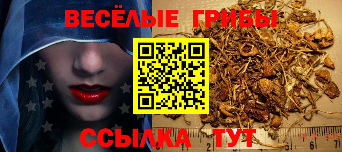 Псилоцибиновые грибы Cubensis Улан-Удэ